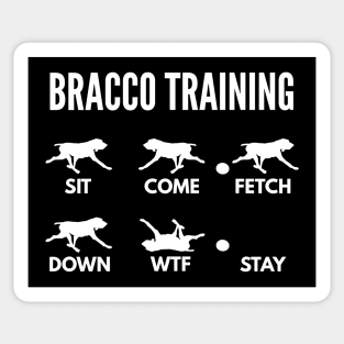 Bracco Italiano Training Italian Pointer Tricks Sticker